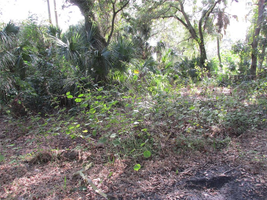 BYARS HEIGHTS RESUB OF BLK 5 - Land