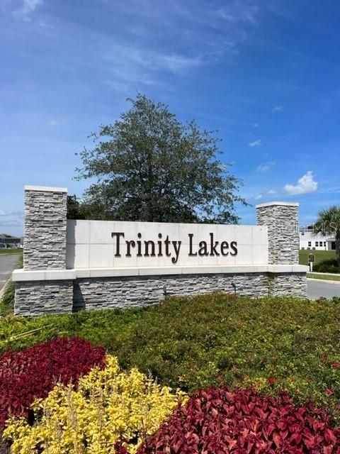 Photo of 7260 Rolling Leaf Road, Groveland, FL 34736 (MLS # O6442916)