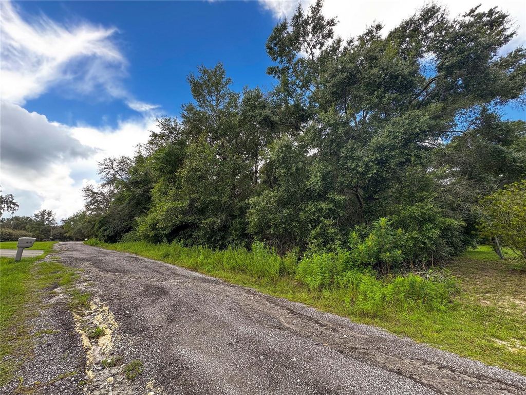 Photo of Tbd SW 134th Ter, Dunnellon, FL 34432 (MLS # OM707668)