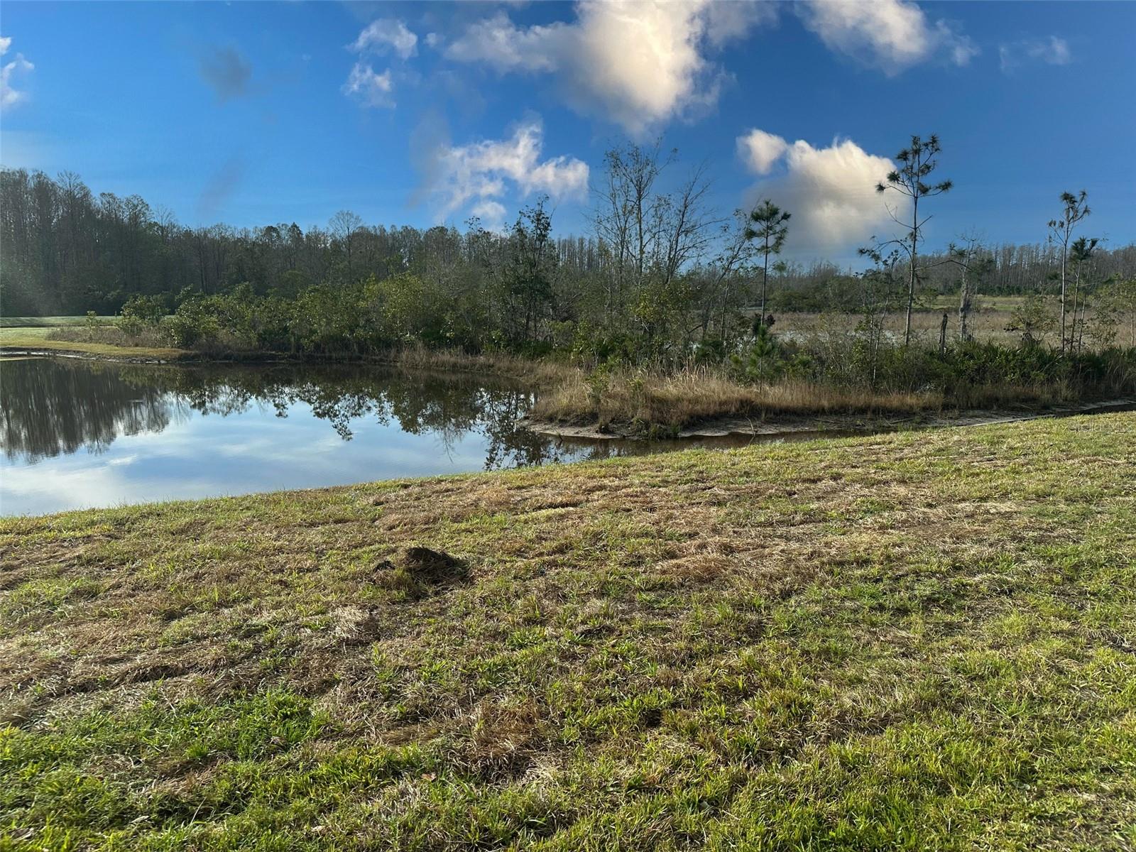 ANGELINE PH 3B-1 - Residential Lease