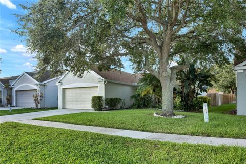 A home in RIVERVIEW