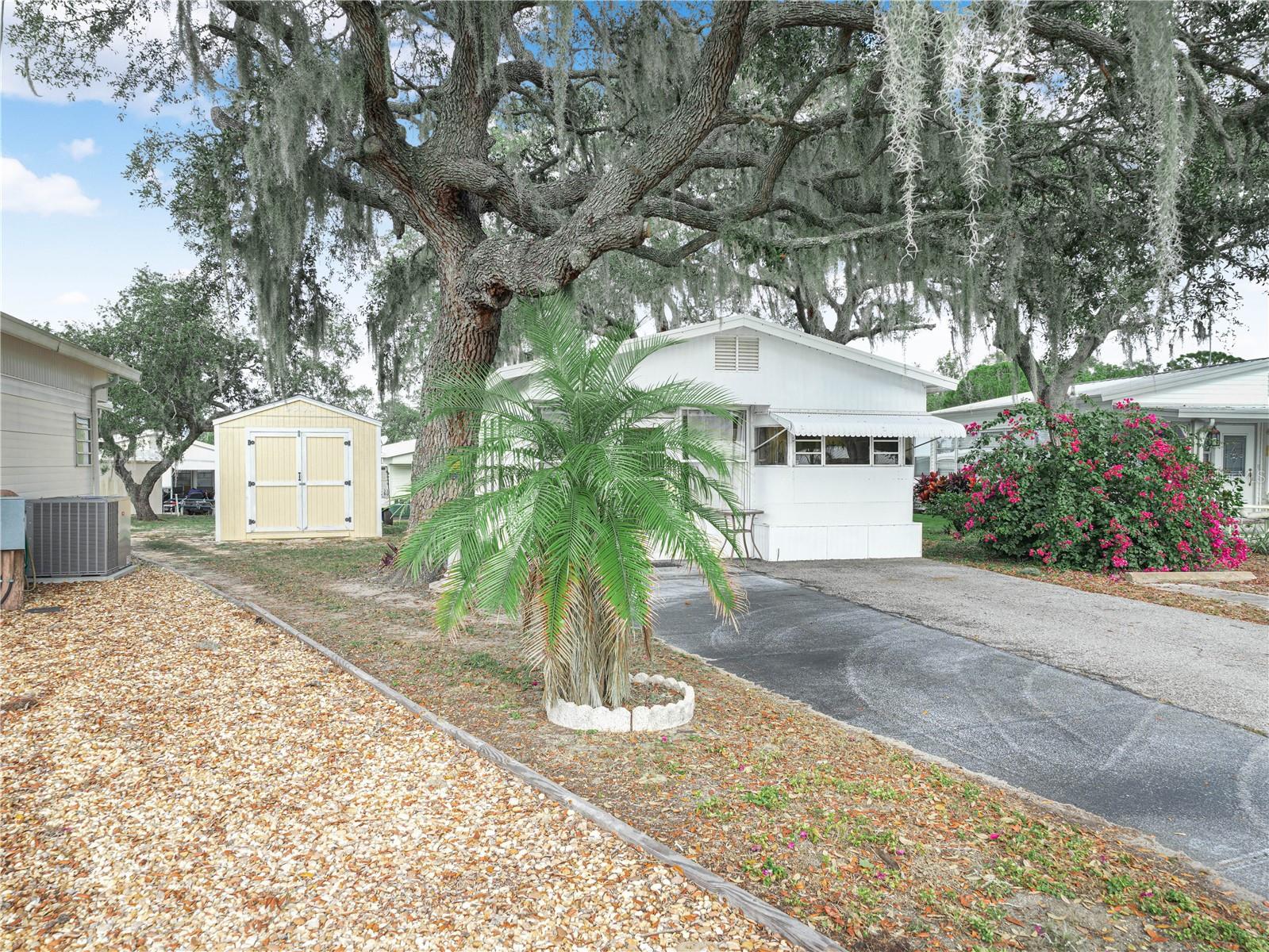 SADDLEBAG LAKE - Residential