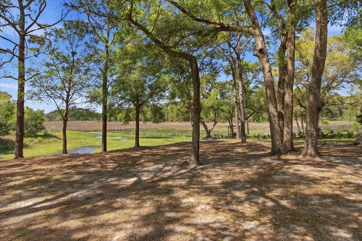 MOUNT PLYMOUTH - Residential