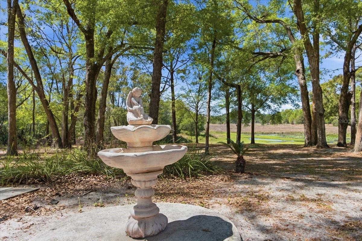 MOUNT PLYMOUTH - Residential