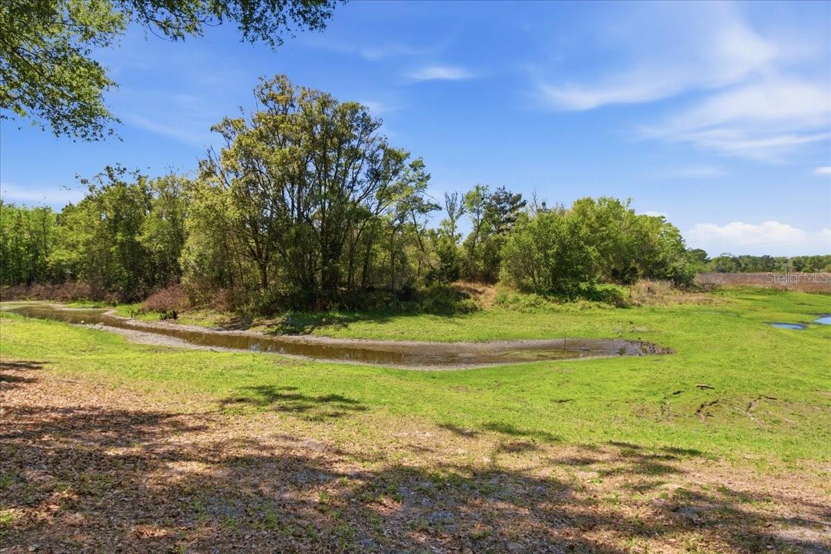 MOUNT PLYMOUTH - Residential