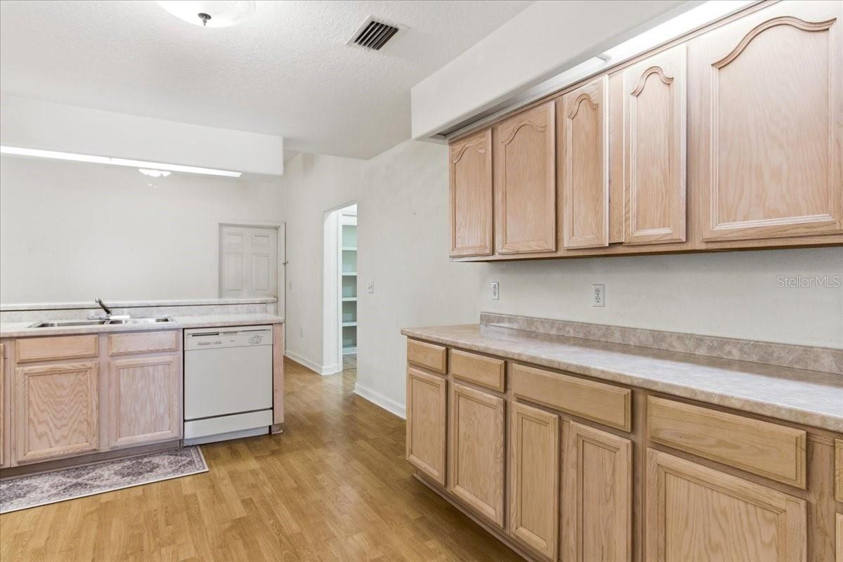 MOUNT PLYMOUTH - Residential