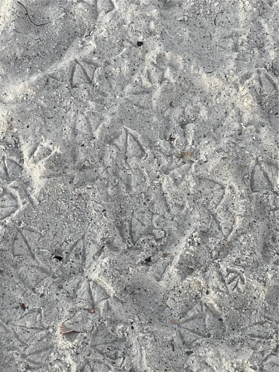 GULFSHORE OF LONGBOAT KEY - Residential