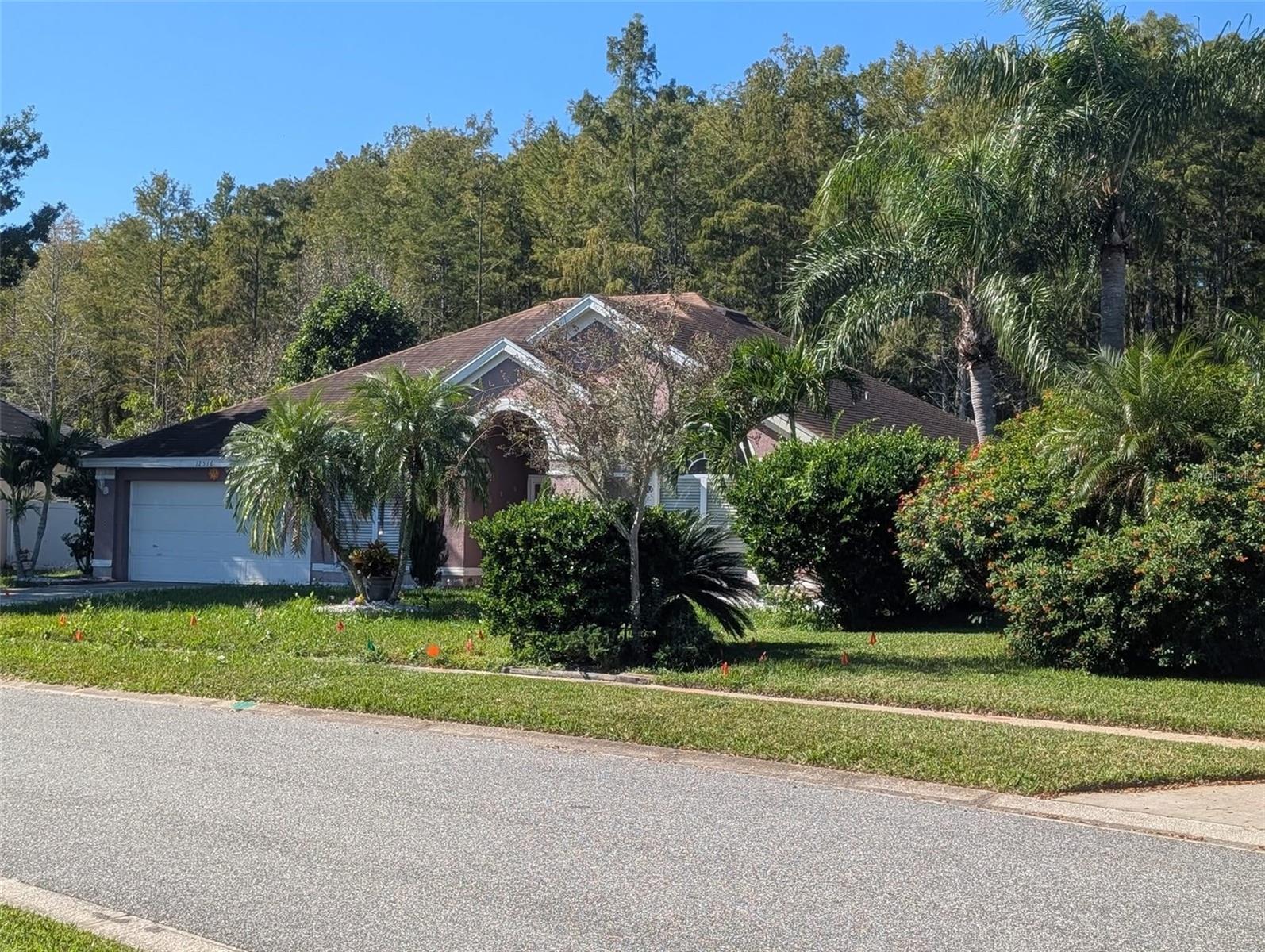 12516 GRECO DRIVE