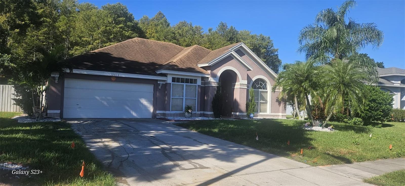 12516 GRECO DRIVE