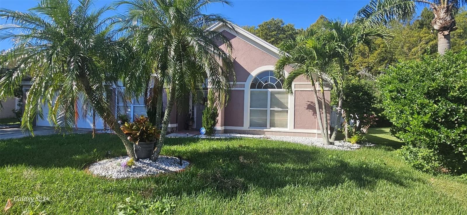 12516 GRECO DRIVE