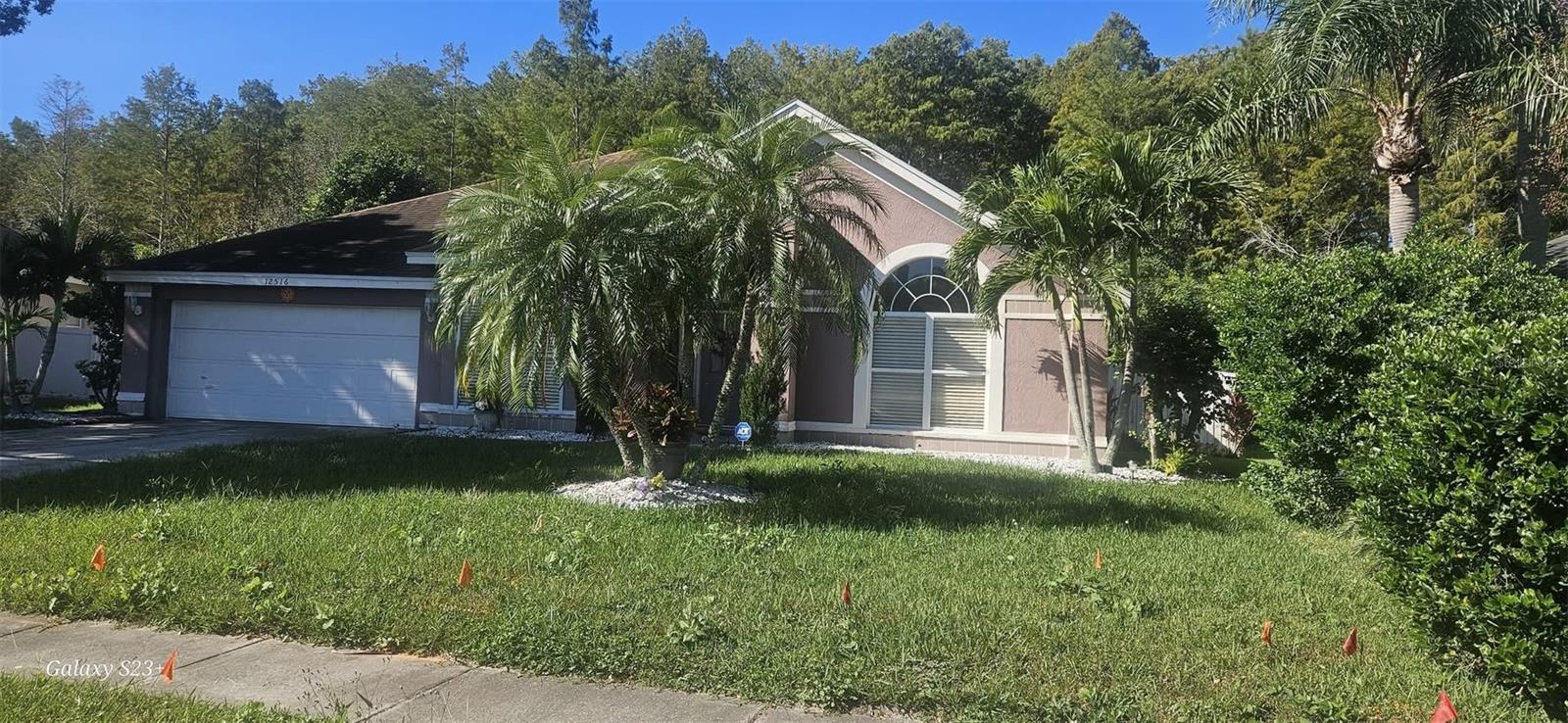 12516 GRECO DRIVE