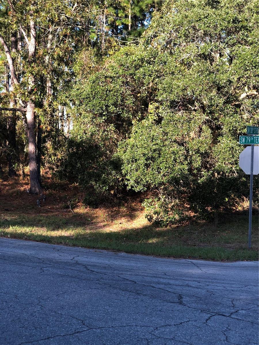 Photo of SW 79 Terrace Road, Ocala, FL 34473 (MLS # OM734637)