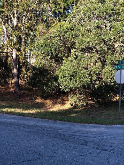 Photo of SW 79 Terrace Road, Ocala, FL 34473 (MLS # OM734637)