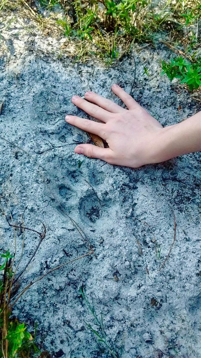 ACREAGE HEADER - Land