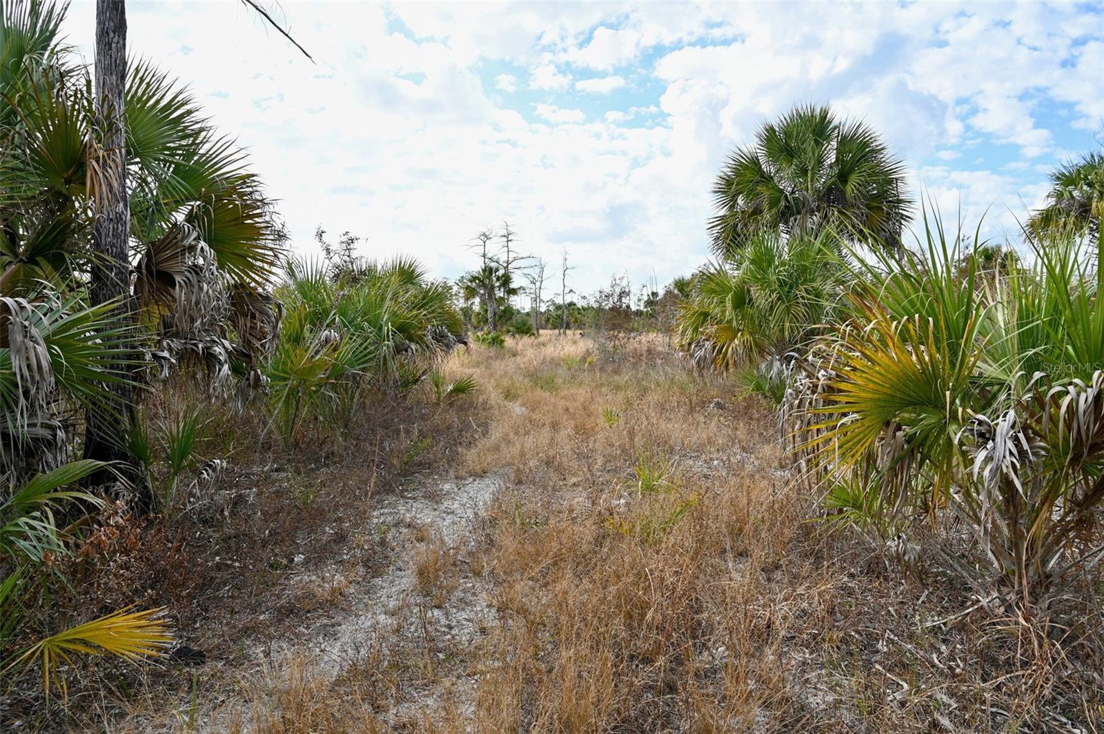 ACREAGE HEADER - Land