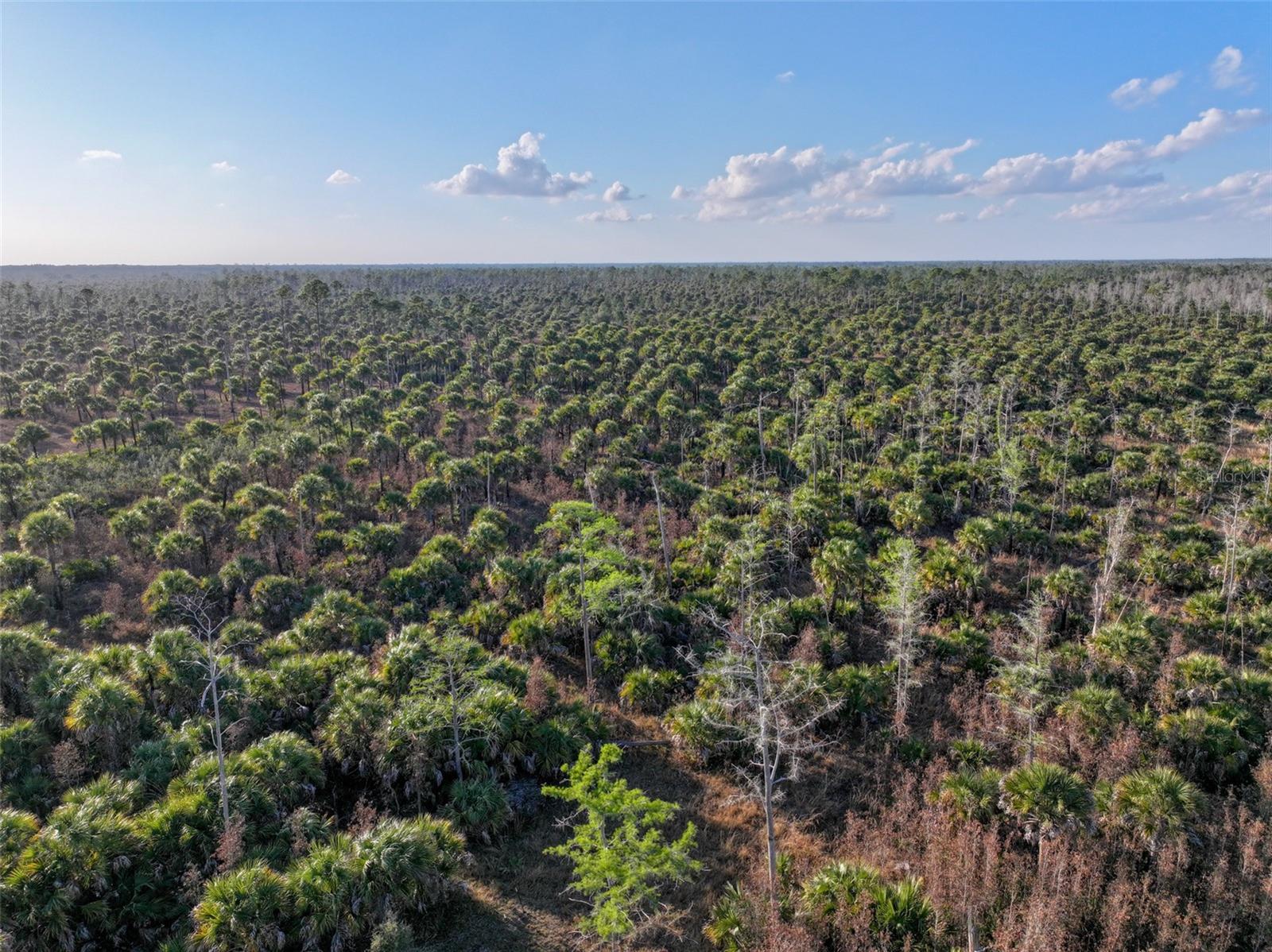 ACREAGE HEADER - Land