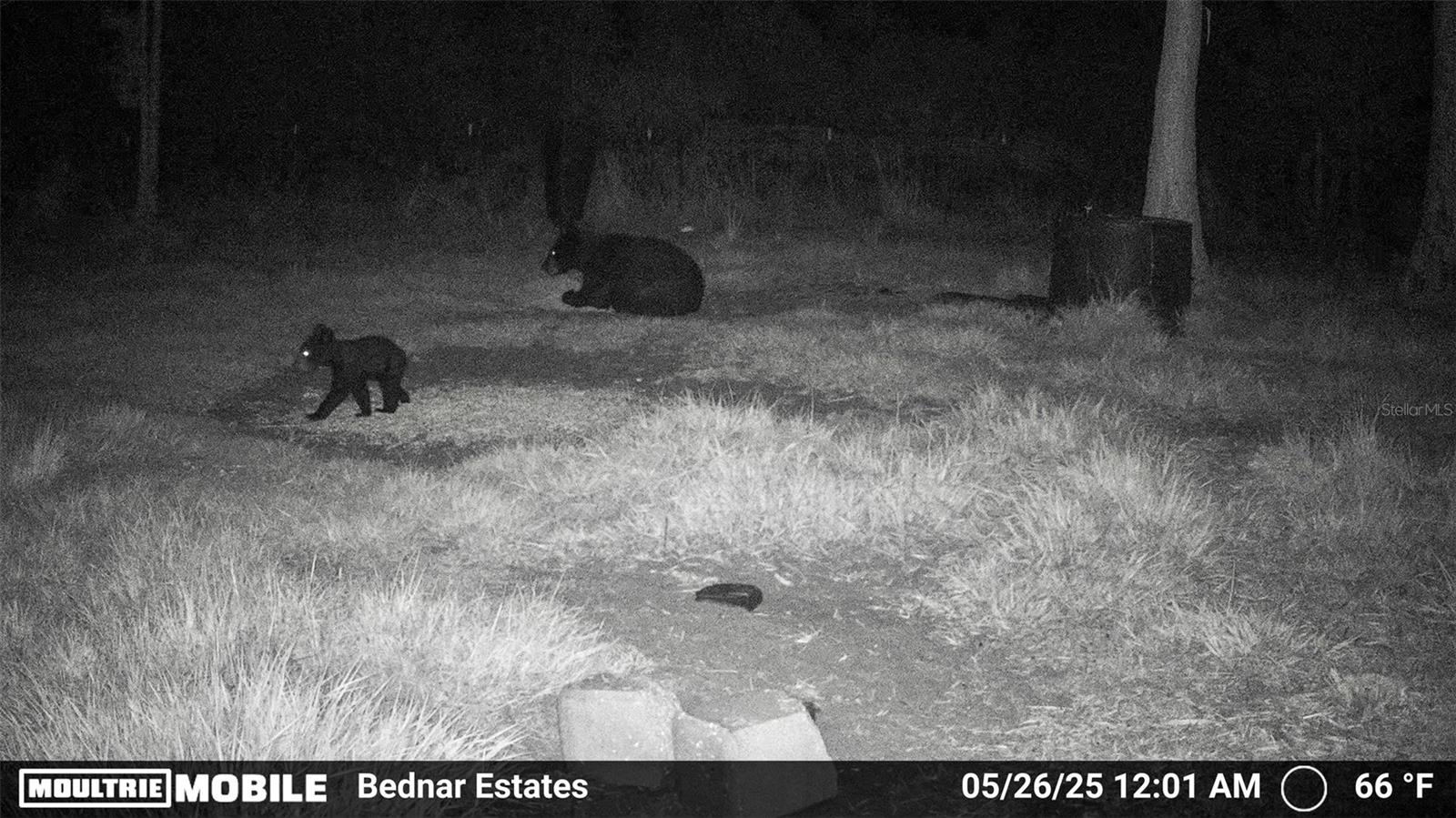 ACREAGE HEADER - Land