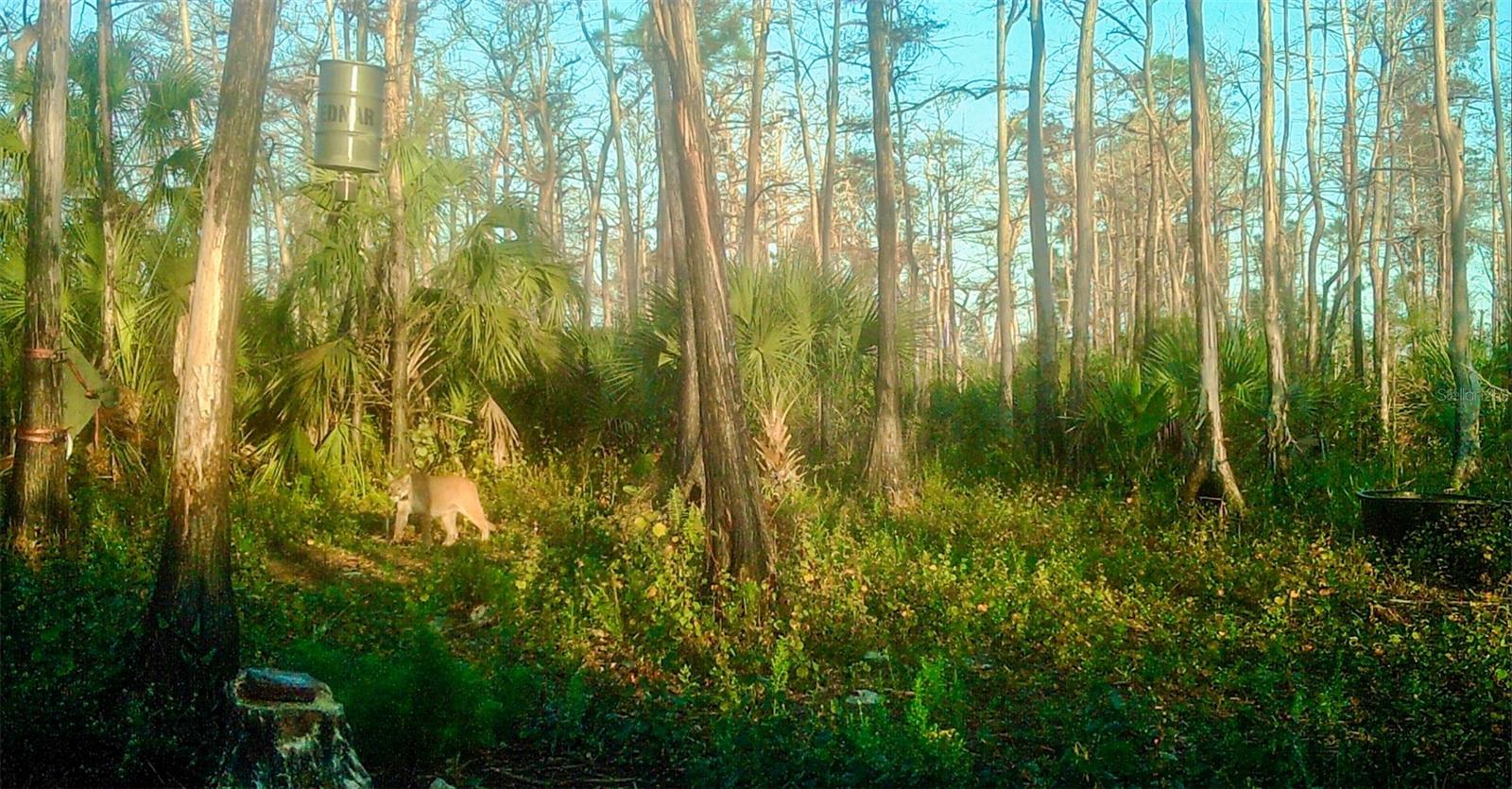 ACREAGE HEADER - Land