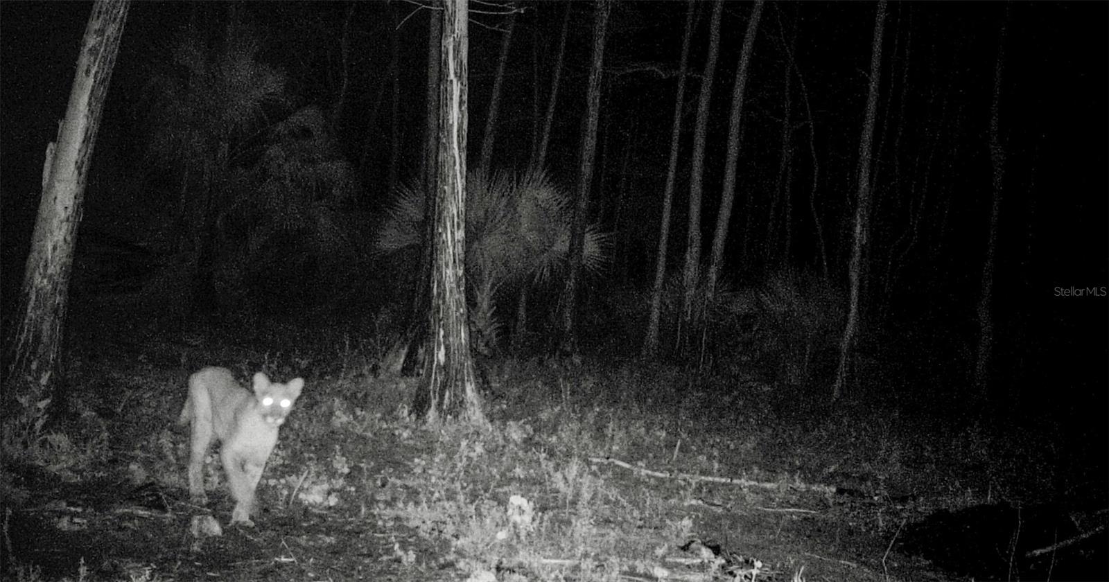 ACREAGE HEADER - Land