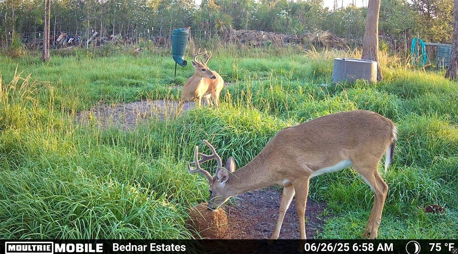 ACREAGE HEADER - Land