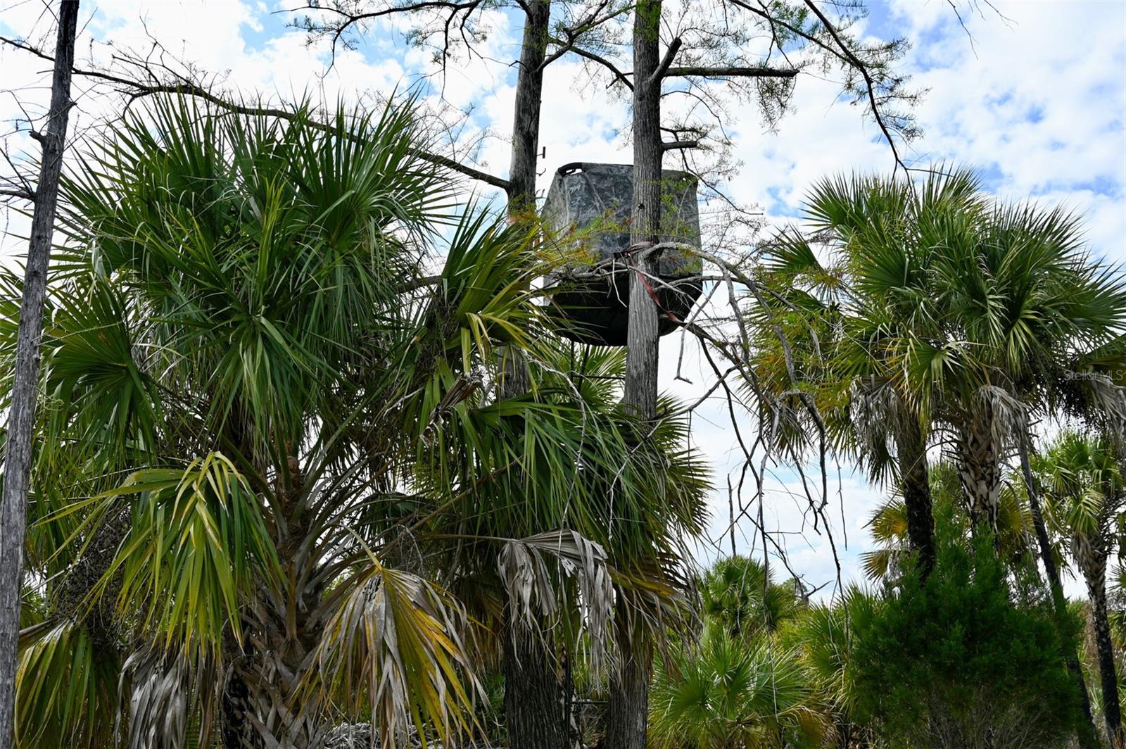 ACREAGE HEADER - Land