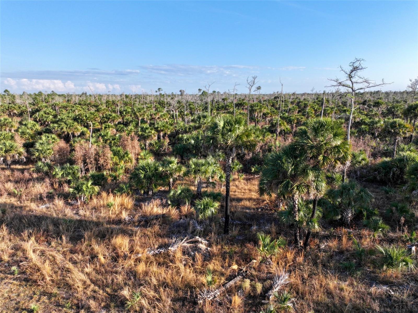 ACREAGE HEADER - Land