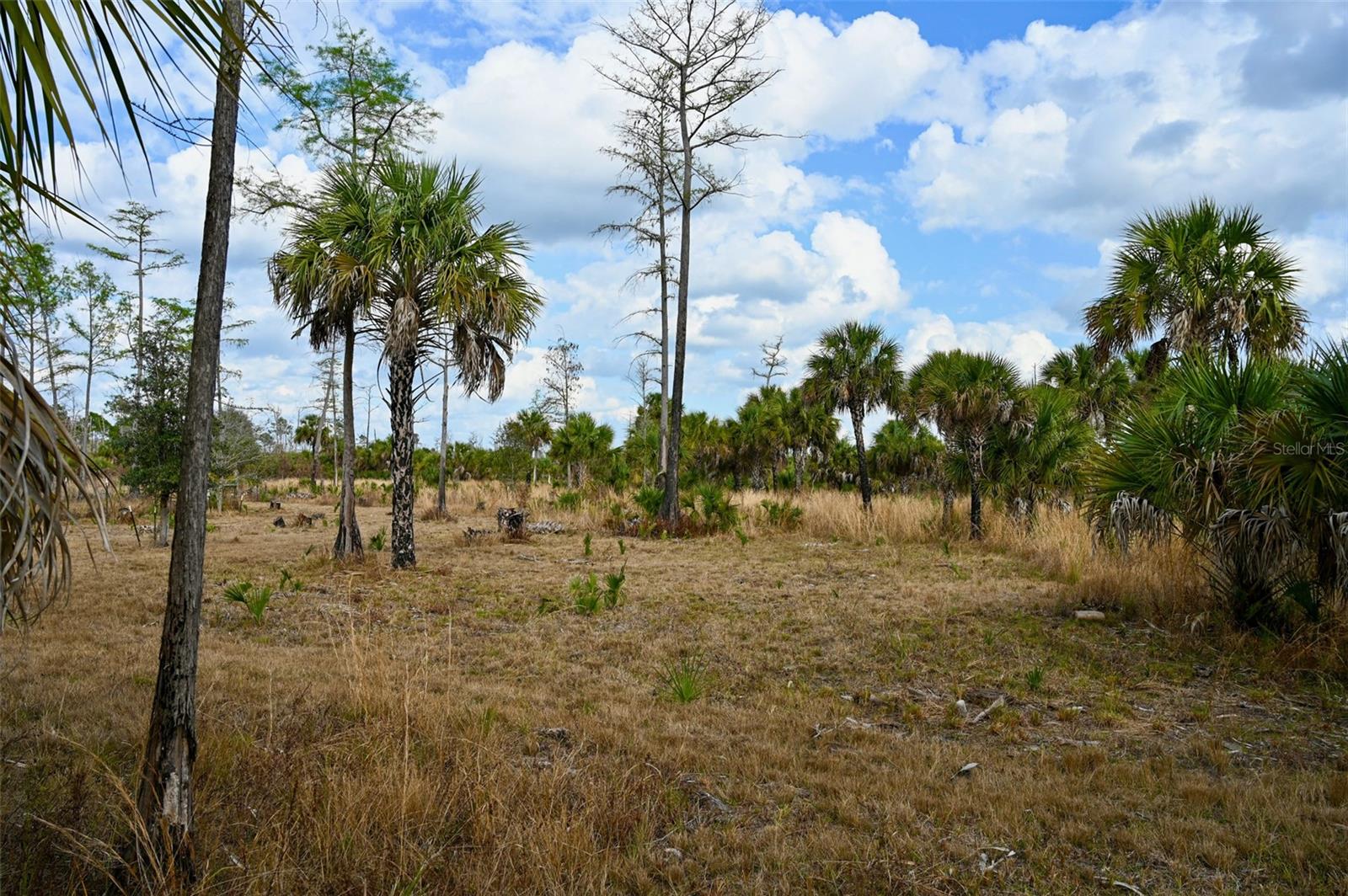 ACREAGE HEADER - Land