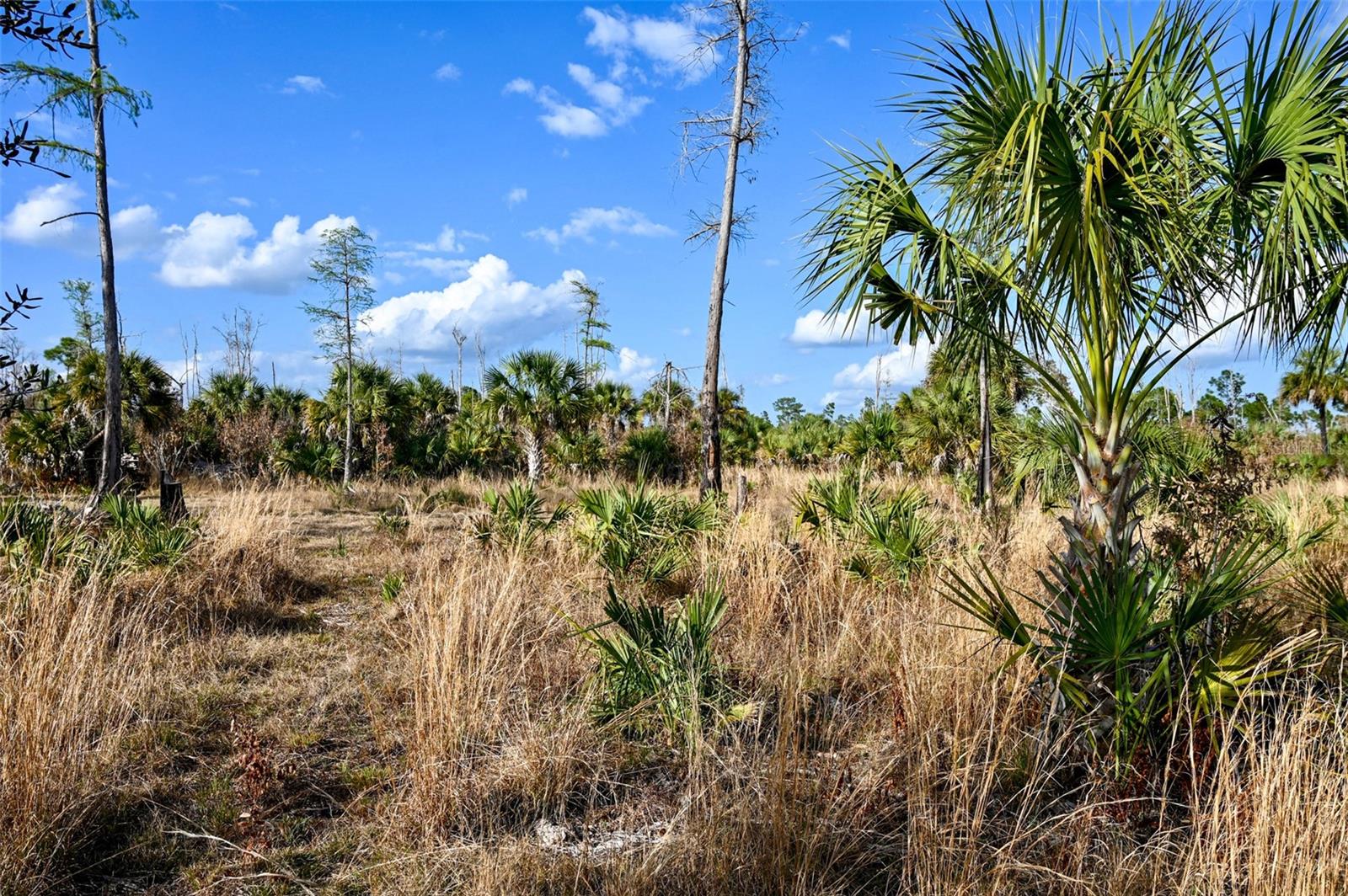 ACREAGE HEADER - Land