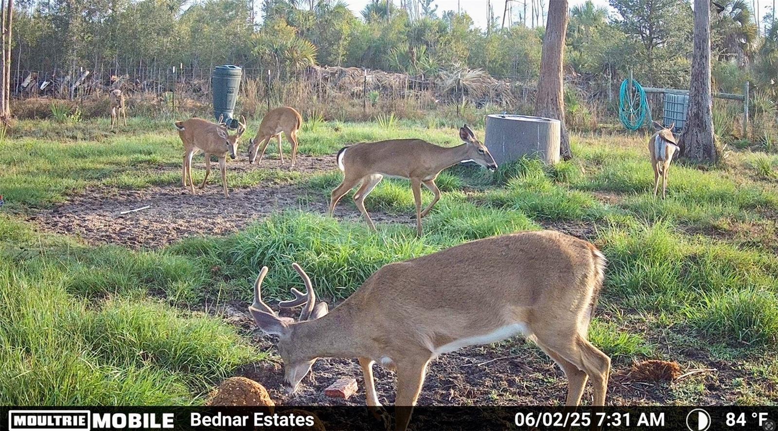 ACREAGE HEADER - Land