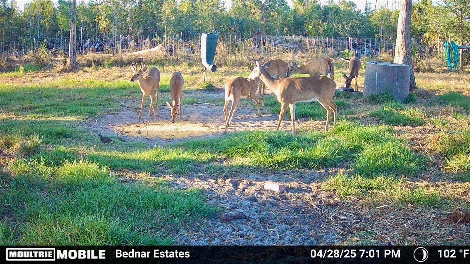 ACREAGE HEADER - Land