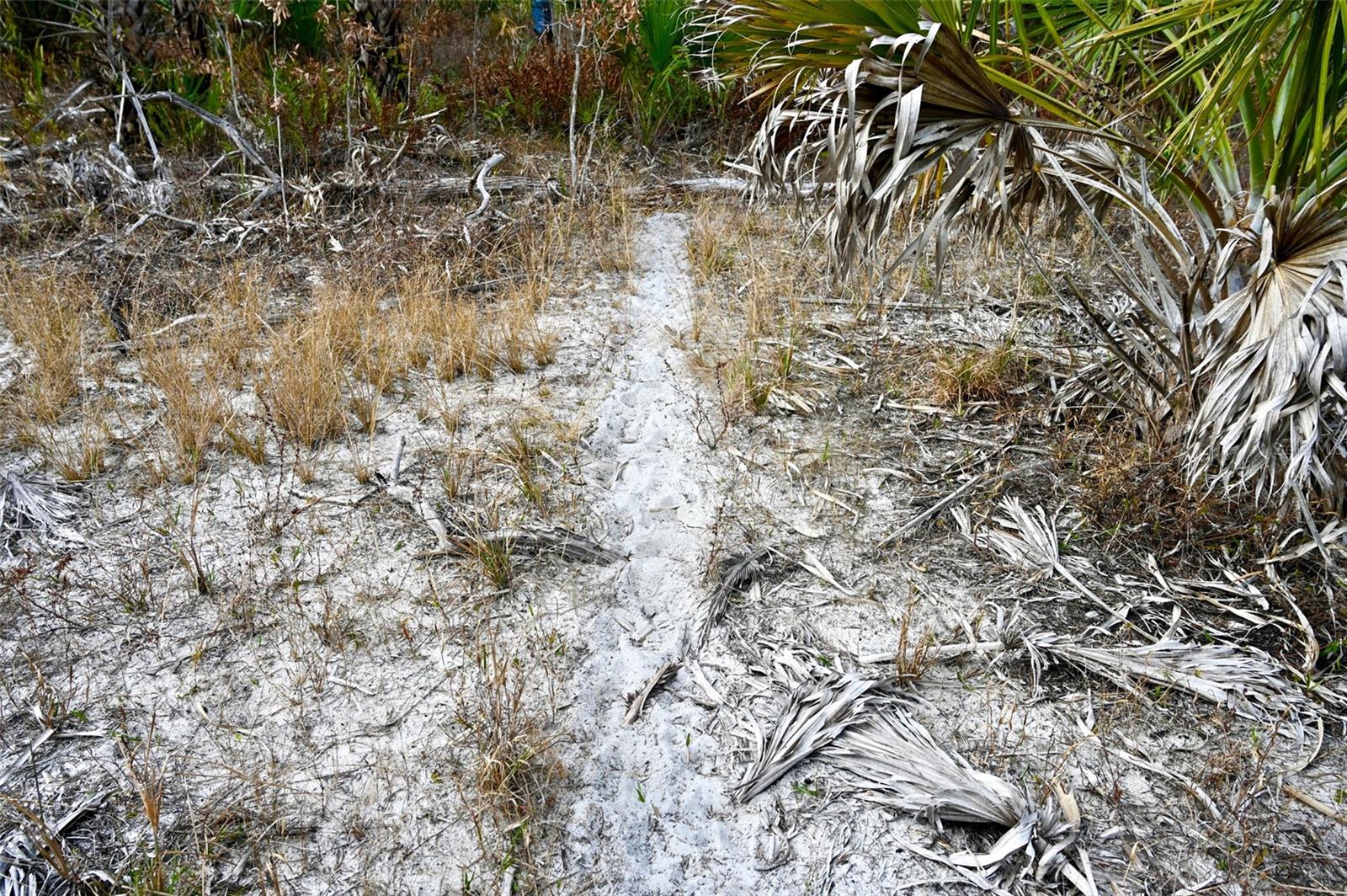 ACREAGE HEADER - Land