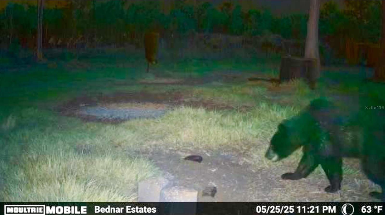 ACREAGE HEADER - Land