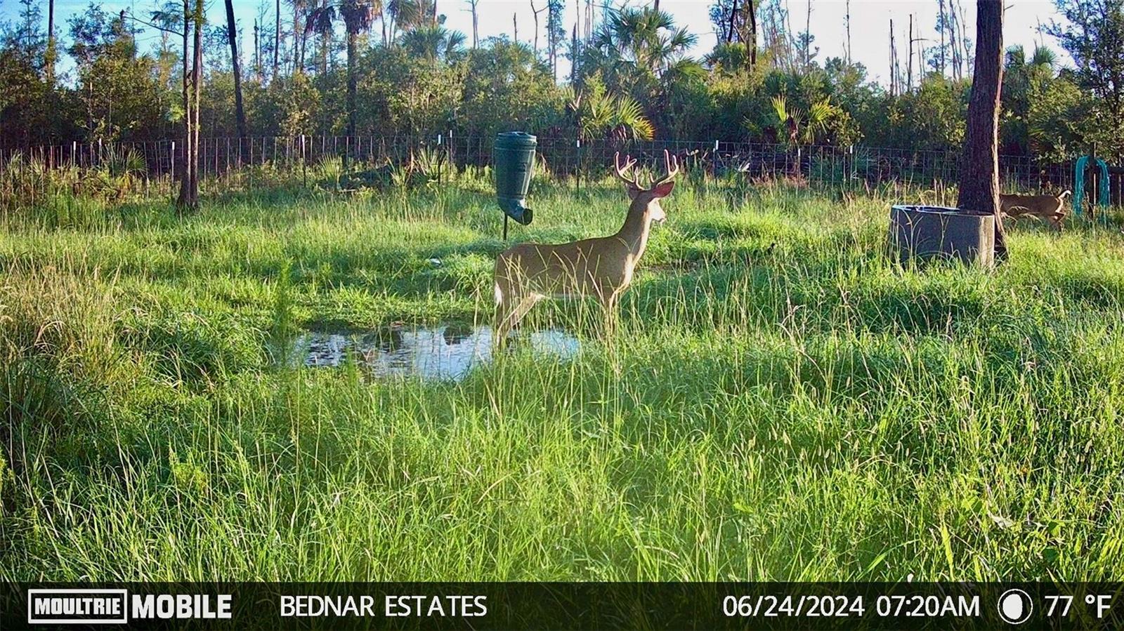 ACREAGE HEADER - Land