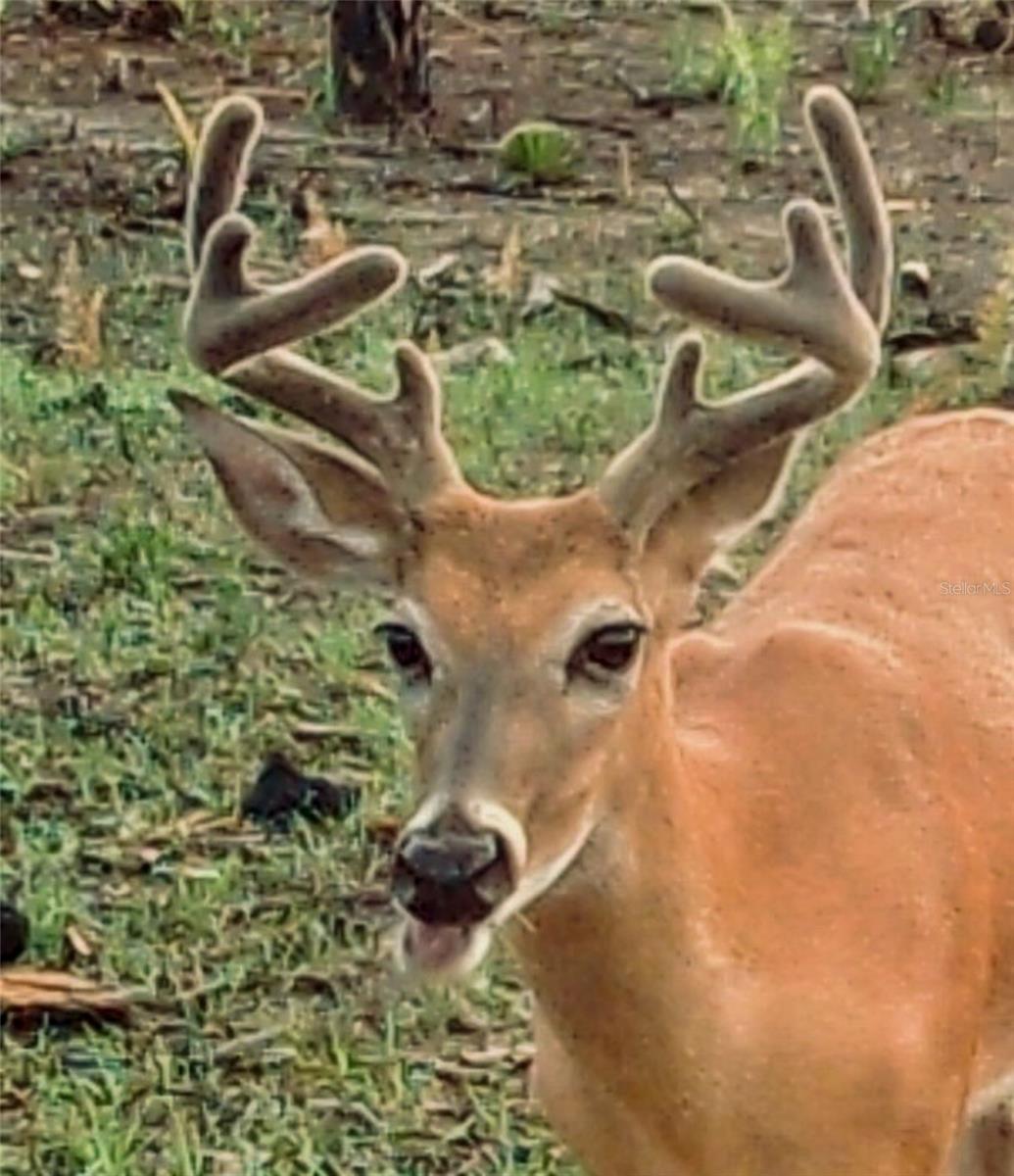 ACREAGE HEADER - Land