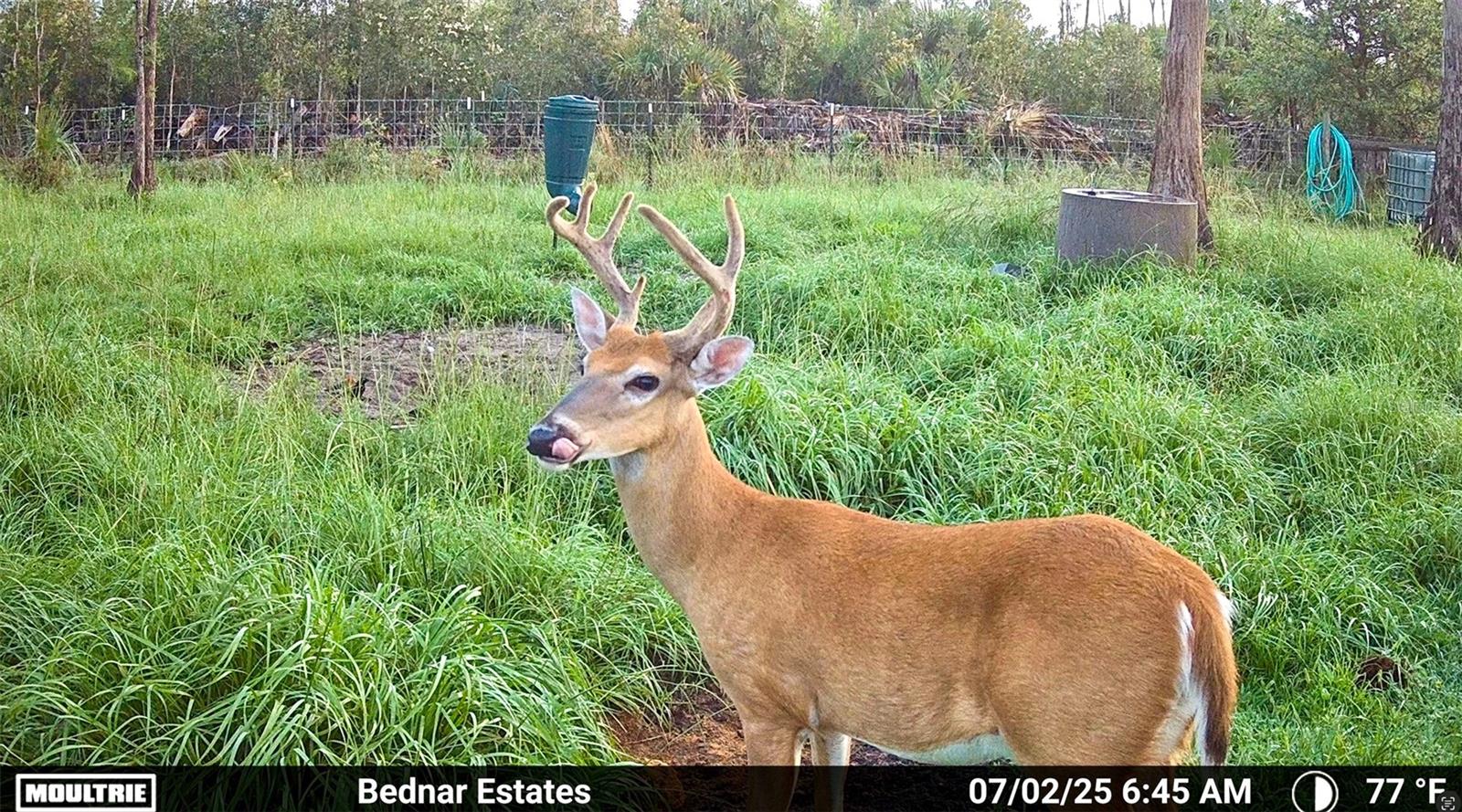 ACREAGE HEADER - Land