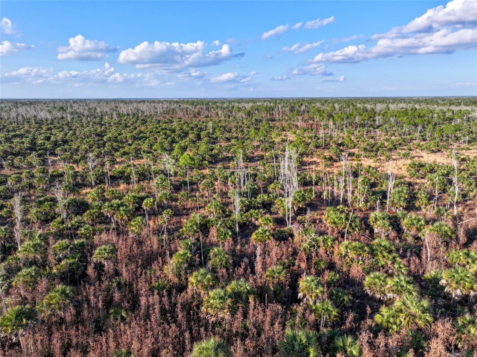 ACREAGE HEADER - Land