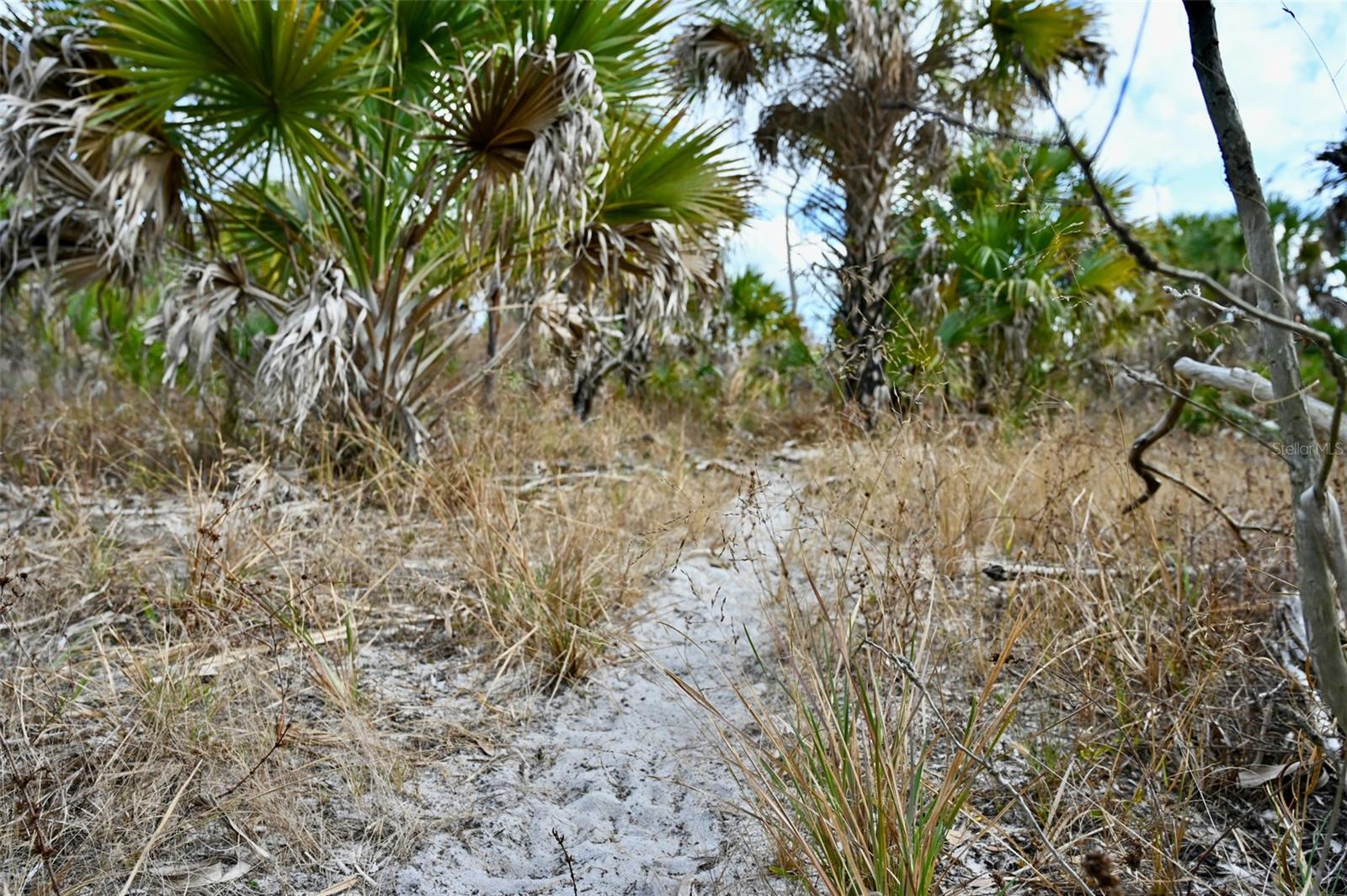 ACREAGE HEADER - Land