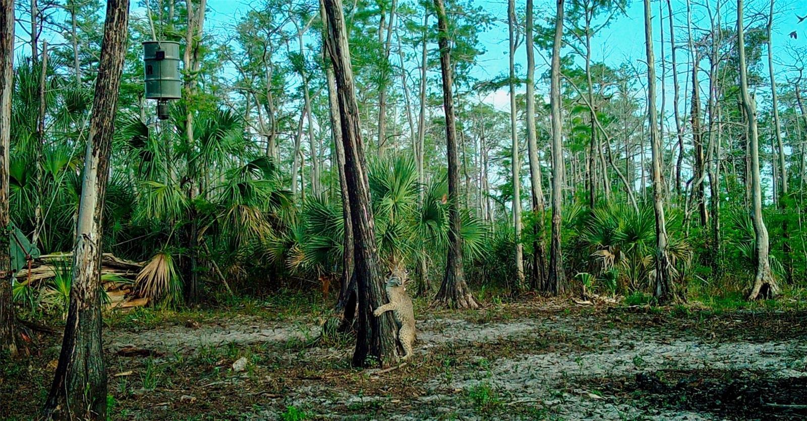 ACREAGE HEADER - Land