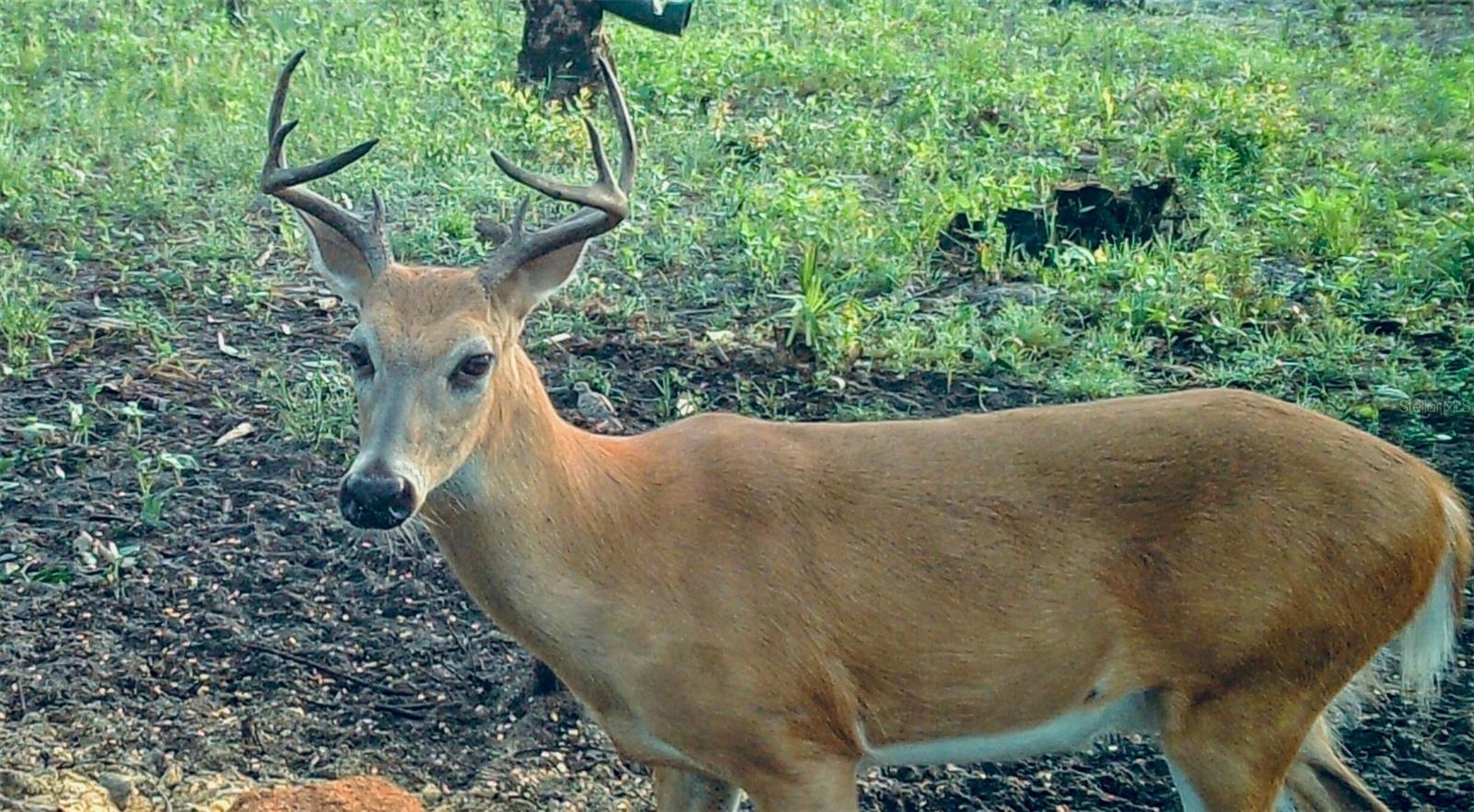 ACREAGE HEADER - Land