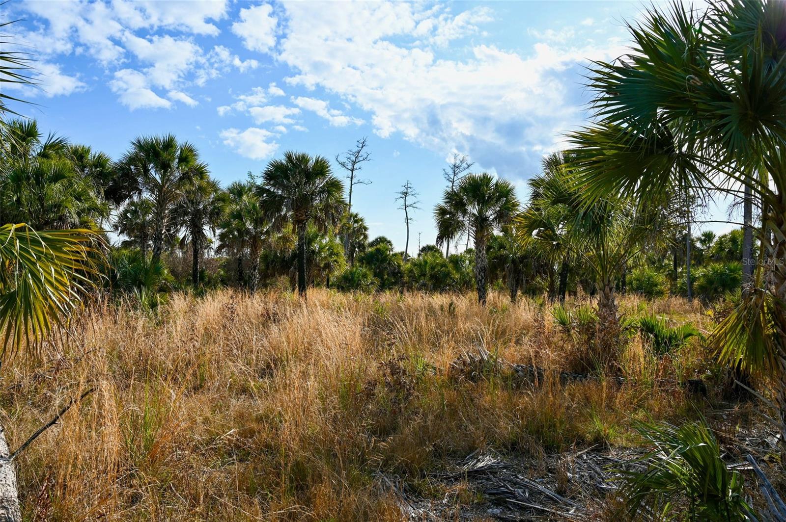 ACREAGE HEADER - Land