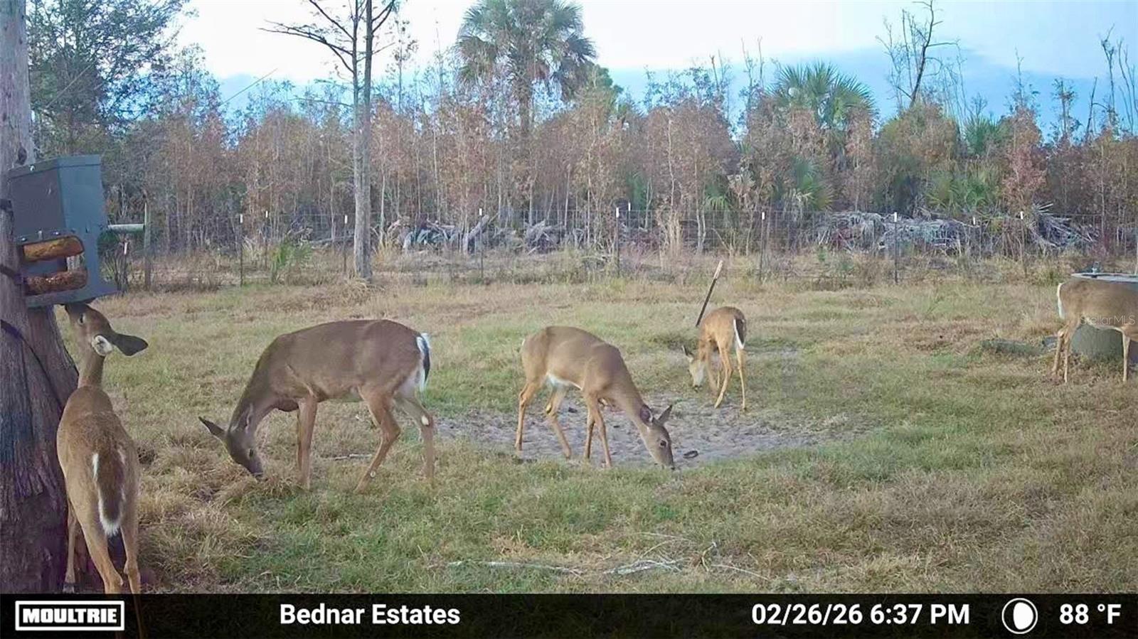 ACREAGE HEADER - Land