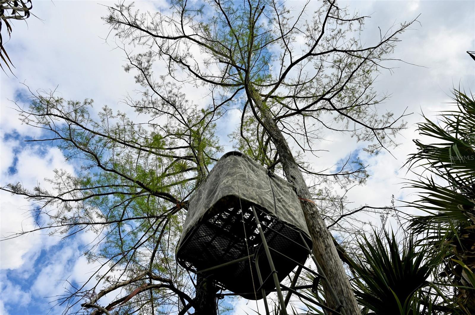 ACREAGE HEADER - Land