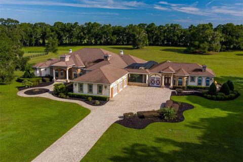 Tiny photo for 6853 NW 12th Street, Ocala, FL 34482 (MLS # OM707542)