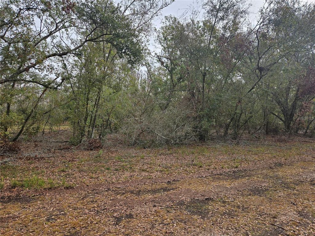 Photo of Candis Rd, Plant City, FL 33565 (MLS # TB8335000)