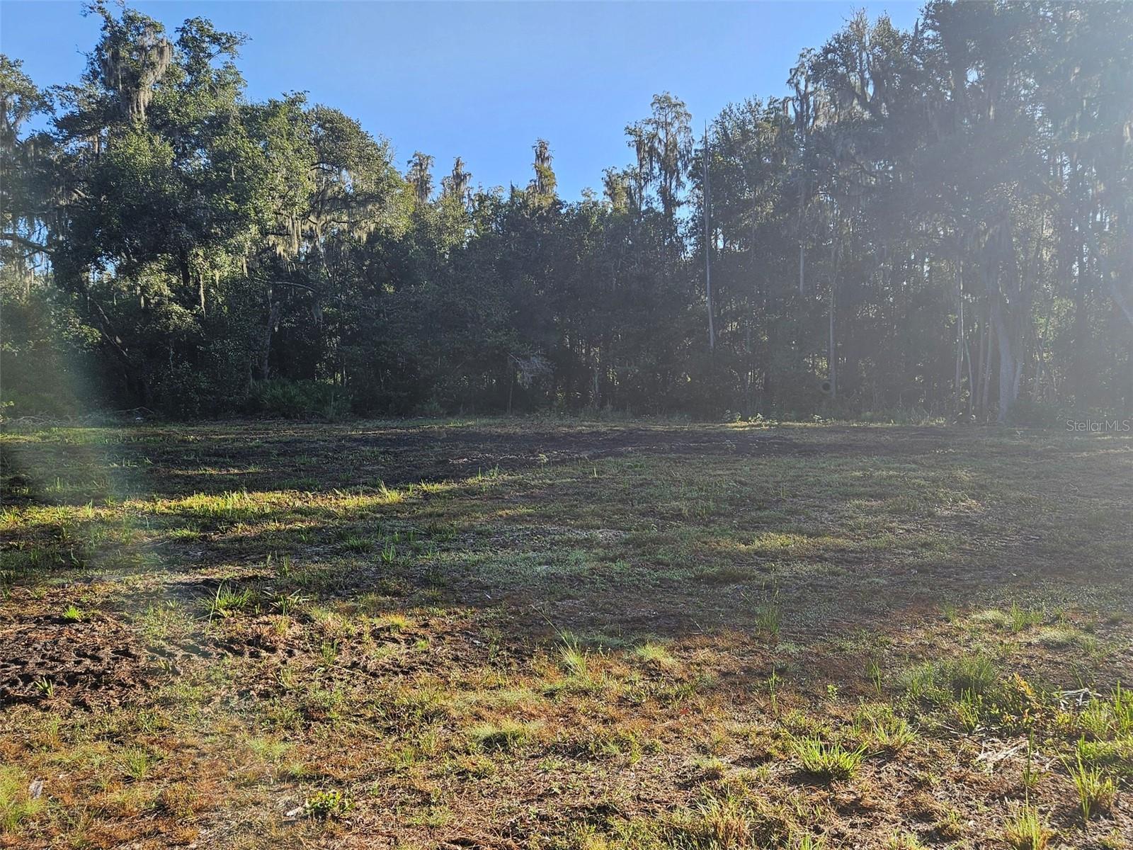 Country living with city convenience only being 4.8 miles to I4 and Plant City. Nestled in a peaceful countryside setting, this 1 acre lot is zoned AS-1 for single family home or mobile home. Come see where your next home will be with towering trees providing you with natural beauty and seclusion. Located near major highway will allow you easy commute to Tampa or Lakeland, and close to shopping and restaurants.