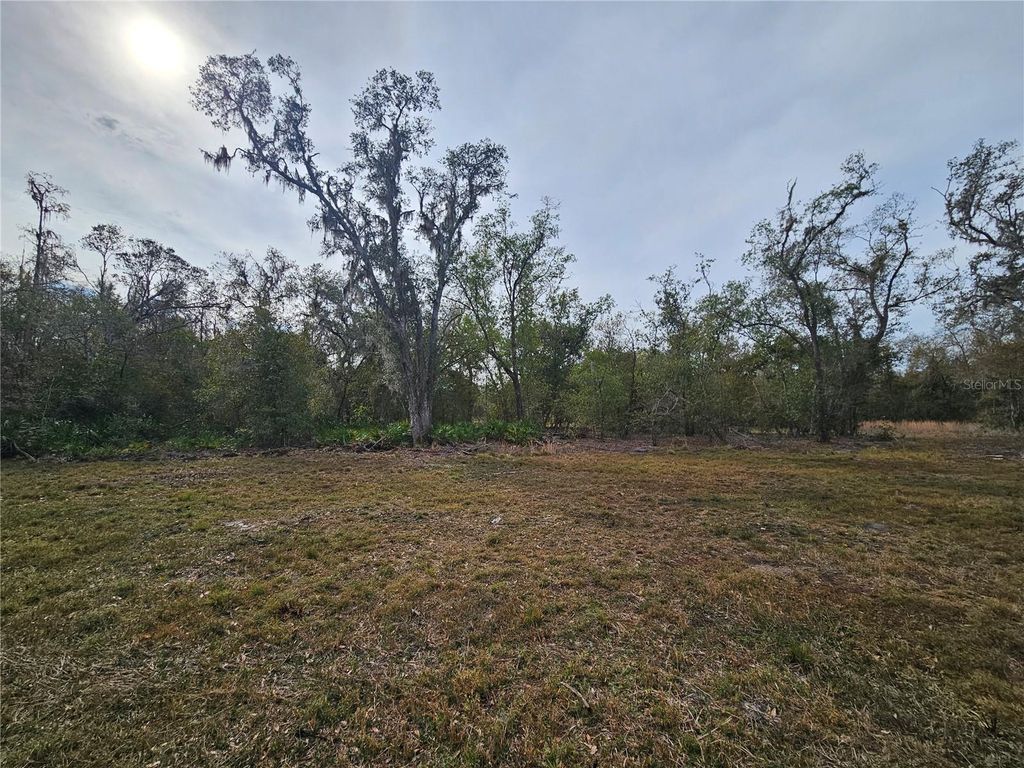 Photo of Candis Rd, Plant City, FL 33565 (MLS # TB8335000)