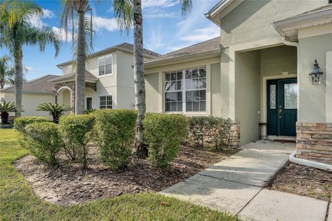 A home in MOUNT DORA