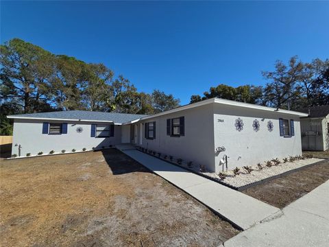 2941A SHORE DRIVE SAFETY HARBOR FL 34695