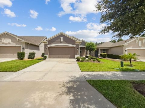 3420 SAGEBRUSH STREET HARMONY FL 34773