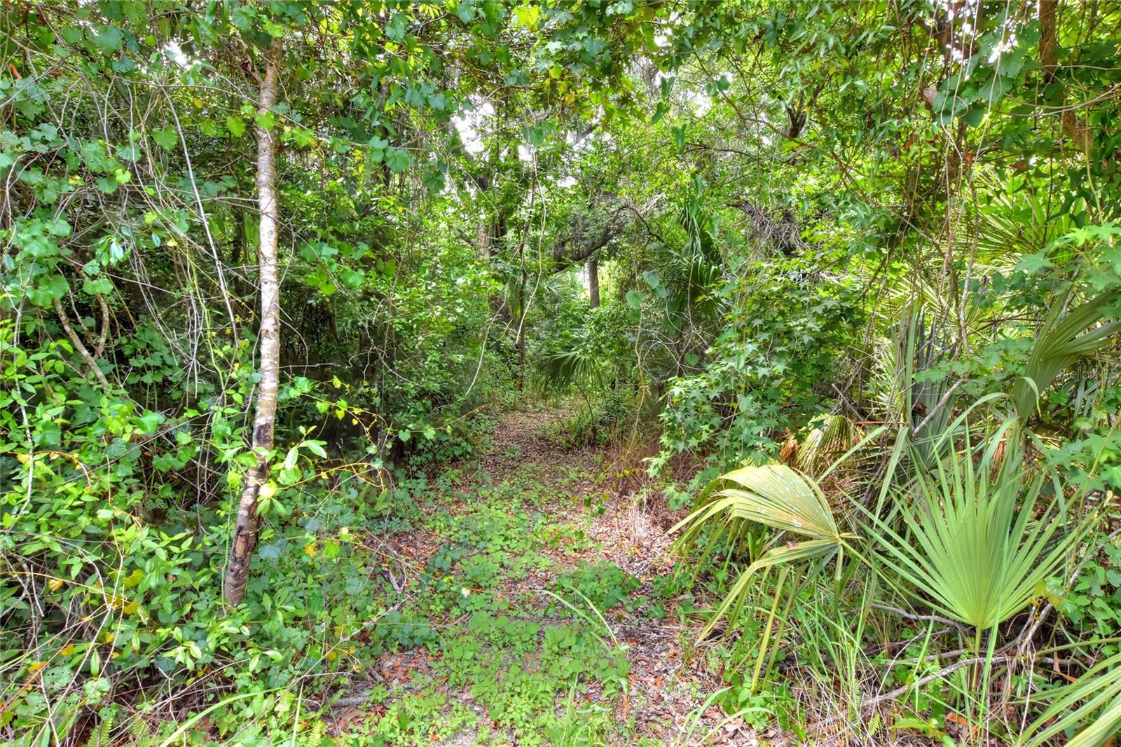 600 THOMPSON ROAD